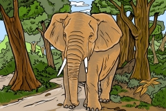Illustrazione pubblicitaria